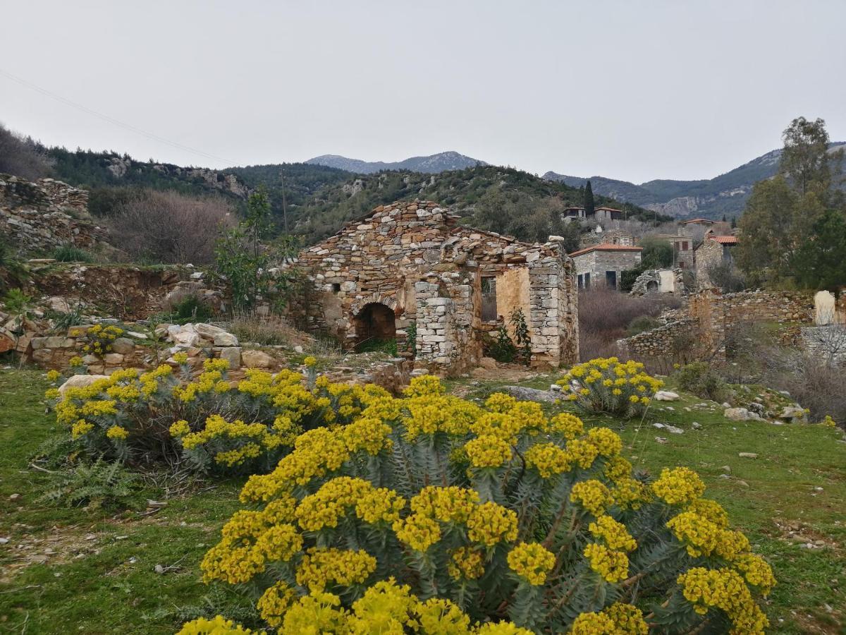 Puli Stone Houses Doğanbey Eksteriør billede
